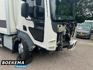 Volvo FL 280 4x2 Koelwagen Laadklep Dag/Nacht Euro 6 picture 10