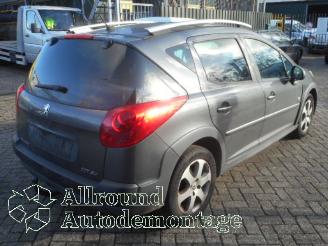 Peugeot 207 207 SW (WE/WU) Combi 1.6 16V (EP6C(5FS)) [88kW]  (06-2007/10-2013) picture 3