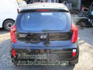 Kia Picanto Picanto (TA) Hatchback 1.0 12V (G3LA) [51kW]  (05-2011/06-2017) picture 7