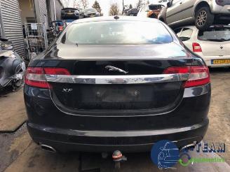 Uttjänta bilar auto Jaguar XF XF (CC9), Sedan, 2008 / 2015 3.0 D V6 24V 2010/8