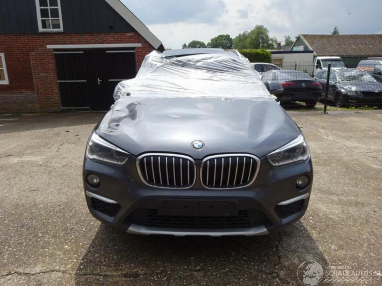 BMW X1 X1 (F48), SUV, 2014 / 2022 sDrive 16d 1.5 12V TwinPower