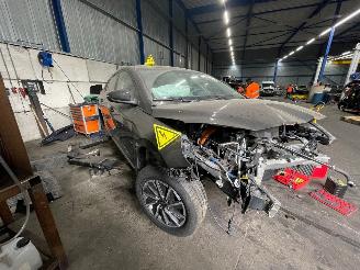 Hyundai Ioniq Ioniq Liftback EV 38 kWh (EM10) [100kW]  (07-2019/07-2022) picture 2