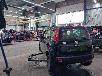 Fiat Panda Panda/Pandina (312) Hatchback 0.9 TwinAir Turbo 85 (312.A.2000) [63kW]=
  (02-2012/...) picture 4