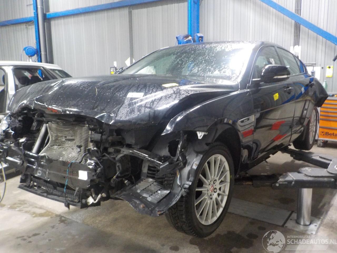 Jaguar XE XE Sedan 2.0 D E-Performance 16V (204DTD(AJ20D4)) [120kW]  (03-2015/..=
=2E)