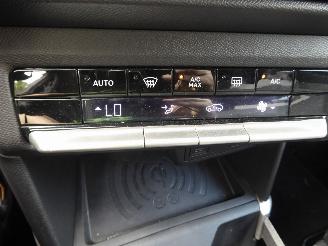 Opel Frontera GS picture 19