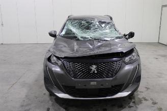 Peugeot 2008  picture 19