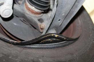 Ford Fiesta  picture 17