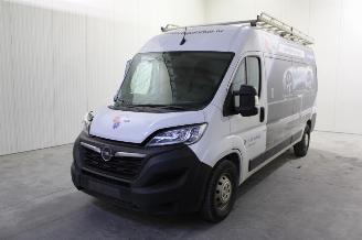 Dezmembrări autoturisme Opel Movano  2022/7