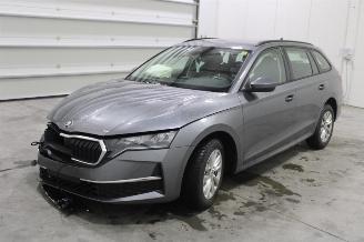 Uttjänta bilar auto Skoda Octavia  2024/12