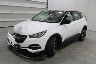Dezmembrări autoturisme Opel Grandland X 2019/6