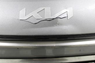 Kia Niro  picture 21