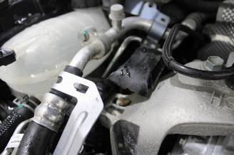 Renault Arkana  picture 17