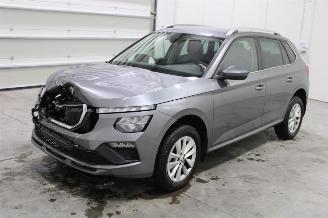 Auto incidentate Skoda Kamiq  2024/8