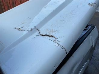 Dodge Ram Pick Up 1500 Crew Cab (DS/DJ/D2) Pick-up 5.7 Hemi V8 4x4 Pick-up  Benzine 5.654cc 295kW (401pk) 4x4 picture 10