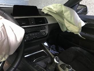 BMW 2-serie (F23) Cabrio 2017 218i 1.5 TwinPower Turbo 12V Cabrio  Benzine 1.499cc 100kW (136pk) RWD picture 11