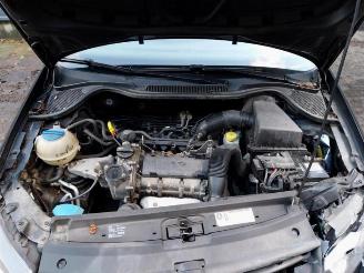 Volkswagen Polo Polo V (6R), Hatchback, 2009 / 2017 1.2 12V BlueMotion Technology picture 21