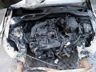 Volkswagen Golf Golf VIII (CD1), Hatchback, 2019 1.0 eTSI 12V picture 19