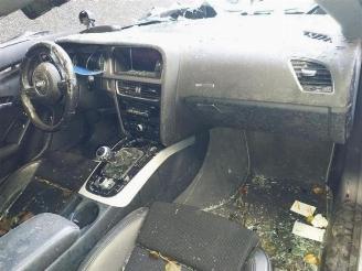 Audi A5 A5 (8T3), Coupe, 2007 / 2017 1.8 TFSI 16V picture 14