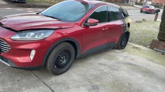 Ford Kuga Kuga III (DFK), SUV, 2019 1.5 EcoBlue picture 3