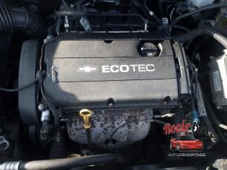 Chevrolet Orlando Orlando (YYM/YYW), MPV, 2010 / 2015 1.8 16V VVT Bifuel picture 19