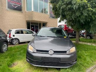 Volkswagen Golf Golf VII Variant (AUVV), Combi, 2013 / 2021 2.0 TDI 150 16V picture 17