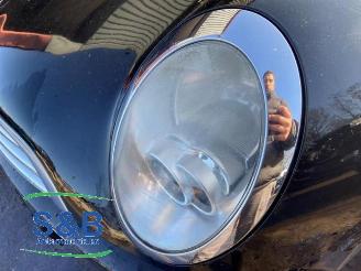 Mini Mini  picture 30