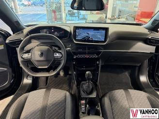 Peugeot 2008  picture 18