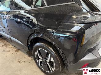 Peugeot 2008  picture 13