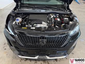 Peugeot 2008  picture 4