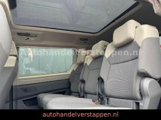 Volkswagen Transporter  picture 19